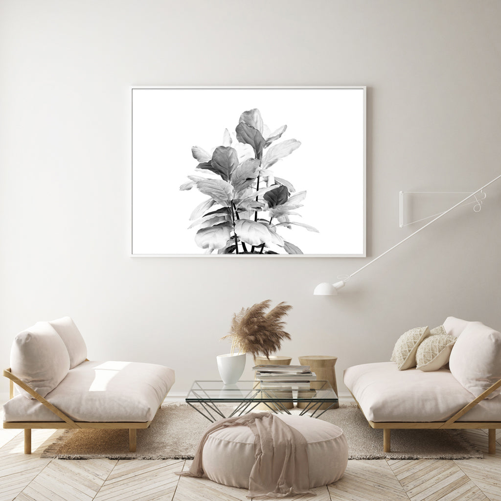 Wall art - Fiddle Leaves - Canvas Prints - Poster Prints