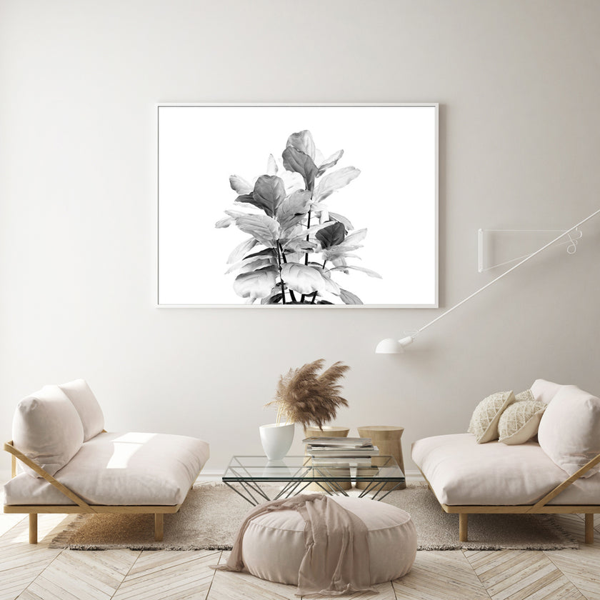 Wall art - Fiddle Leaves - Canvas Prints - Poster Prints