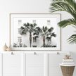 Wall art - Palm Tree - Canvas Prints - Poster Prints