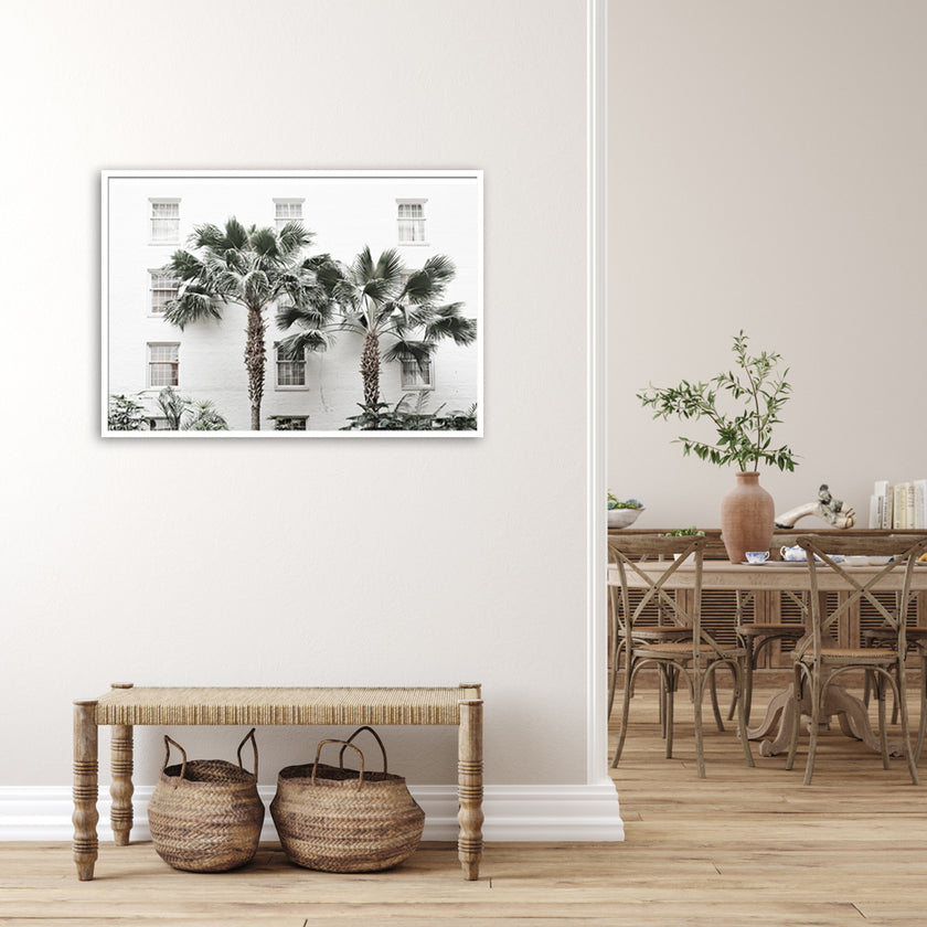 Wall art - Palm Tree - Canvas Prints - Poster Prints