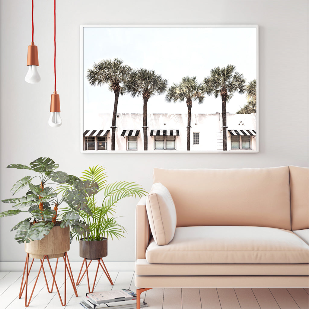 Wall art - Palm Trees - Canvas Prints - Poster Prints