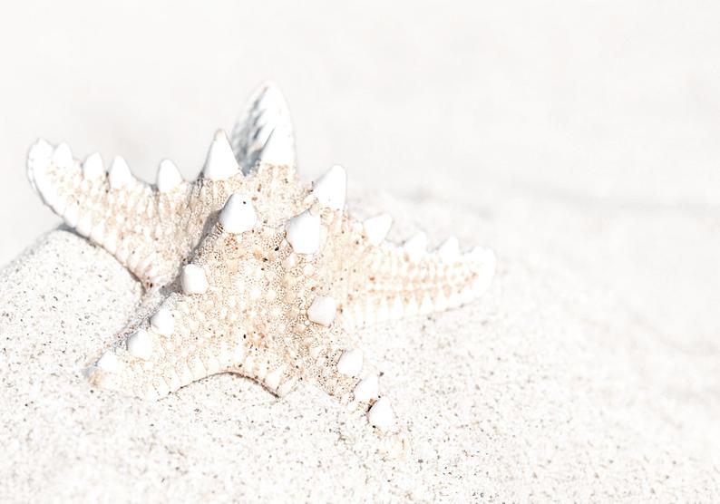 Wall Art - Starfish - Canvas Print - Poster Print