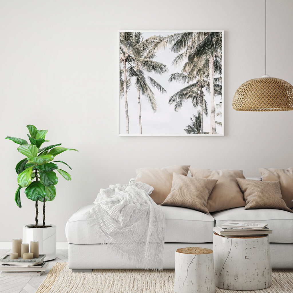 Wall Art - Palm Trees Square Size - Canvas Prints-Poster Prints