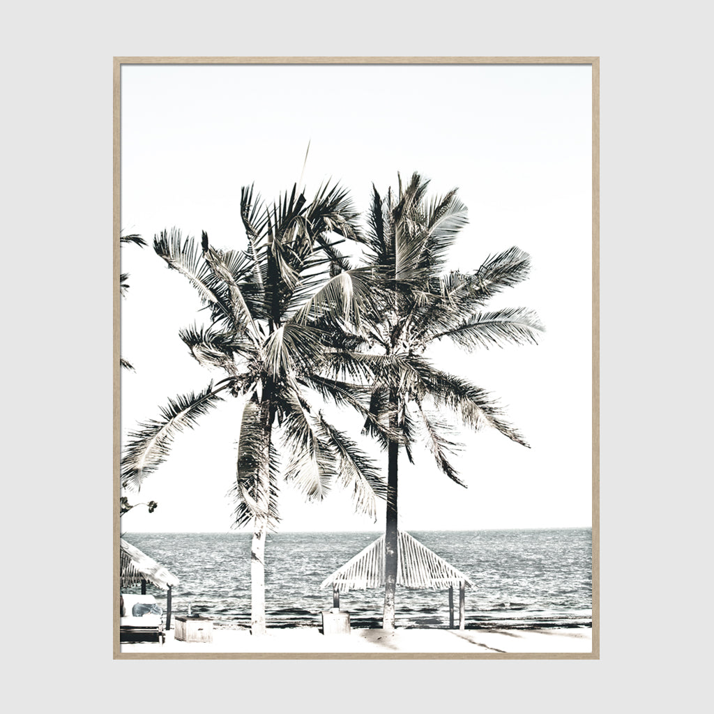 Photo prints -Two-palm-trees-near-canopy(white series)- Poster Prints -Canvas Prints