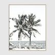 Photo prints -Two-palm-trees-near-canopy(white series)- Poster Prints -Canvas Prints