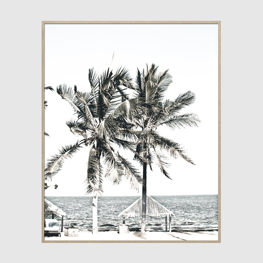 Photo prints -Two-palm-trees-near-canopy(white series)- Poster Prints -Canvas Prints