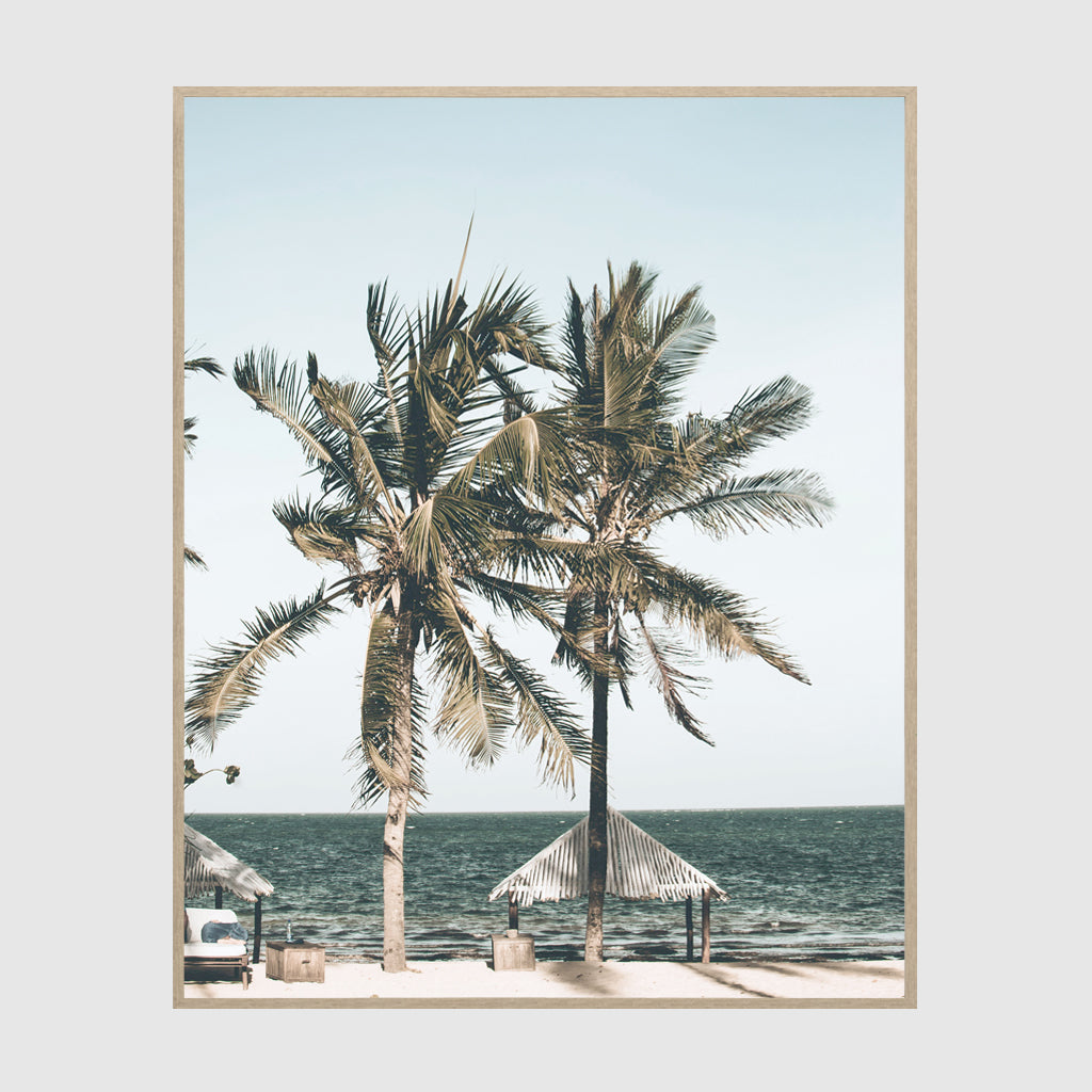 Photo prints -Two-palm-trees-near-canopy- Poster Prints -Canvas Prints