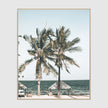 Photo prints -Two-palm-trees-near-canopy- Poster Prints -Canvas Prints