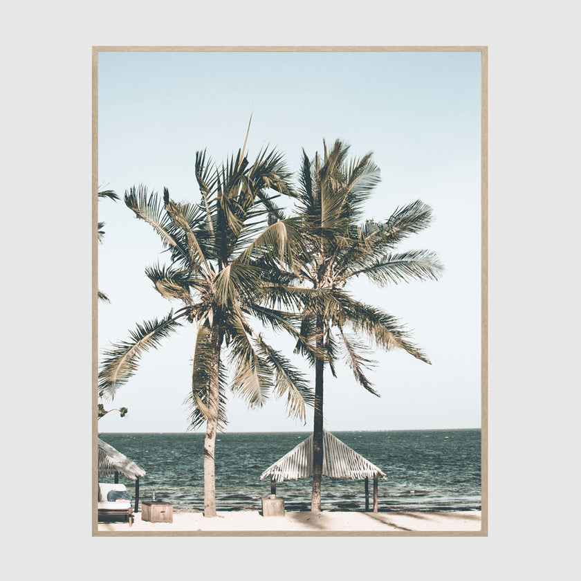 Photo prints -Two-palm-trees-near-canopy- Poster Prints -Canvas Prints