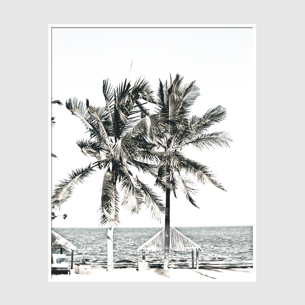 Photo prints -Two-palm-trees-near-canopy(white series)- Poster Prints -Canvas Prints