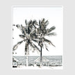 Photo prints -Two-palm-trees-near-canopy(white series)- Poster Prints -Canvas Prints