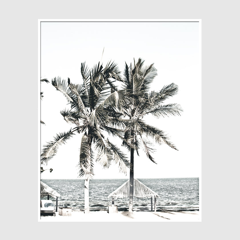 Photo prints -Two-palm-trees-near-canopy(white series)- Poster Prints -Canvas Prints