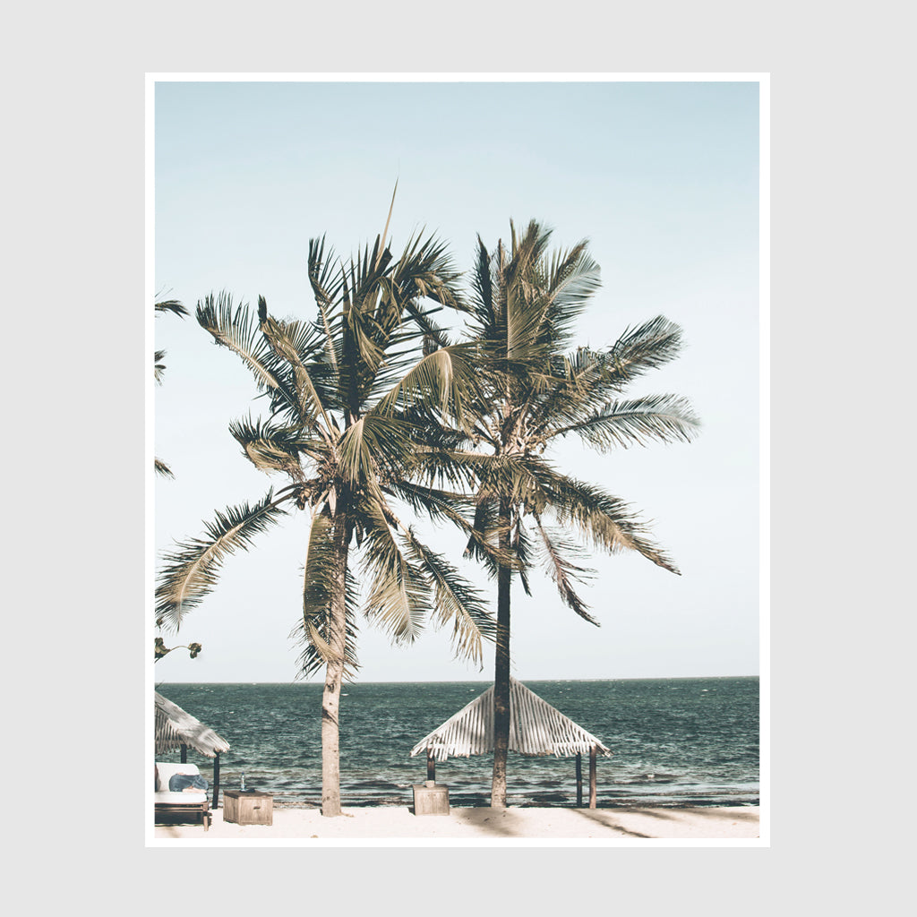 Photo prints -Two-palm-trees-near-canopy- Poster Prints -Canvas Prints