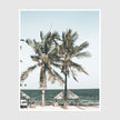 Photo prints -Two-palm-trees-near-canopy- Poster Prints -Canvas Prints