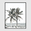 Photo prints -Two-palm-trees-near-canopy(white series)- Poster Prints -Canvas Prints