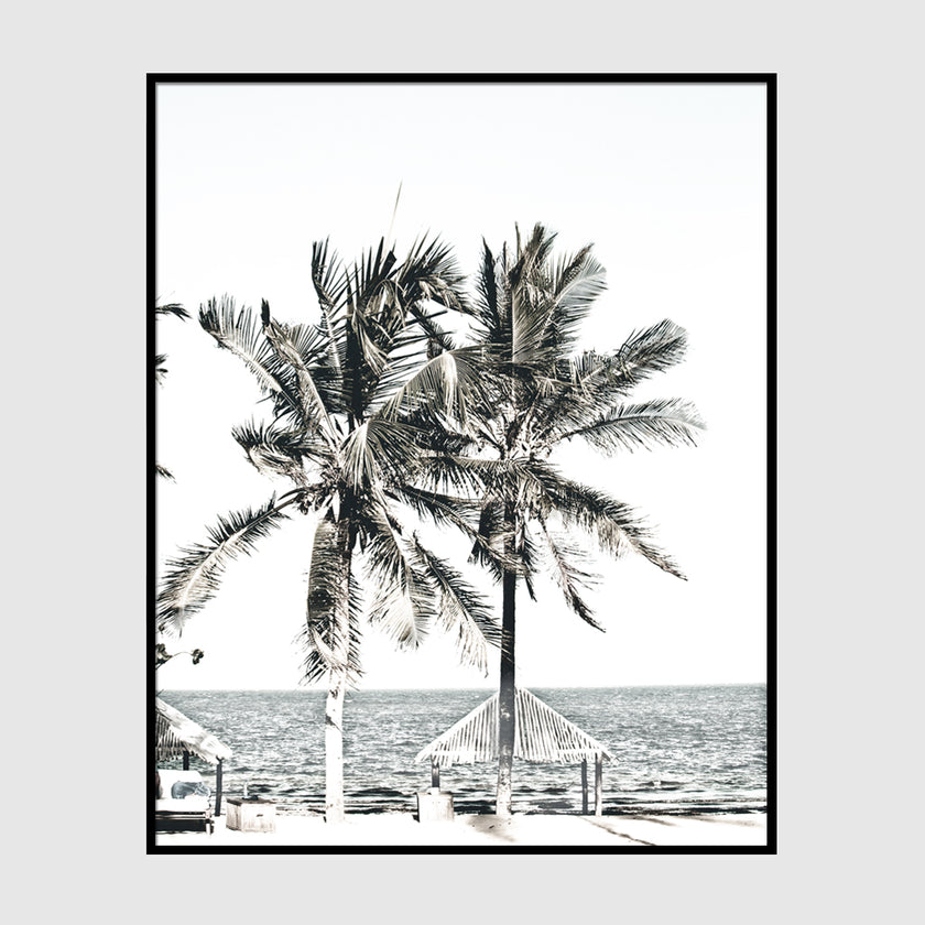 Photo prints -Two-palm-trees-near-canopy(white series)- Poster Prints -Canvas Prints