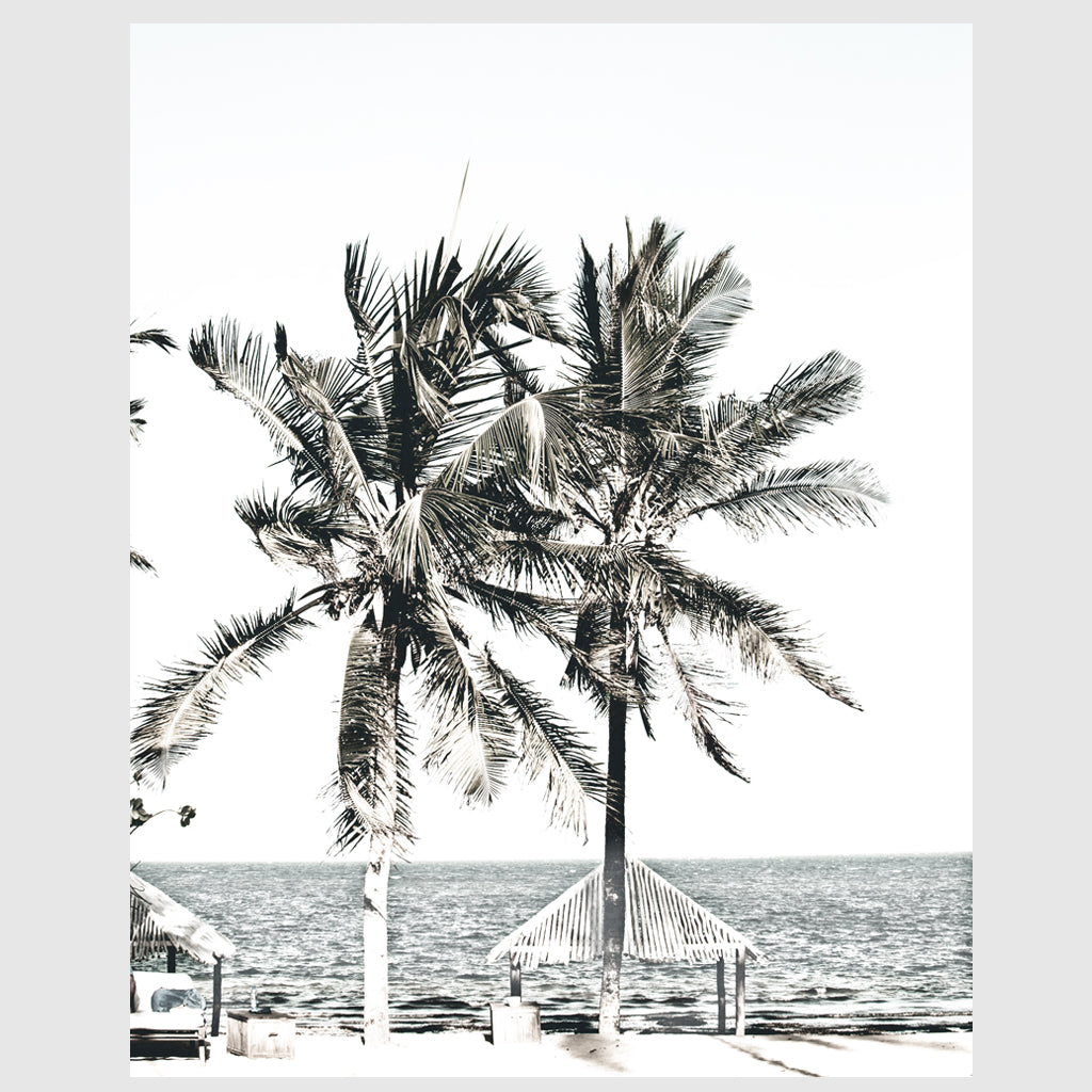 Photo prints -Two-palm-trees-near-canopy(white series)- Poster Prints -Canvas Prints