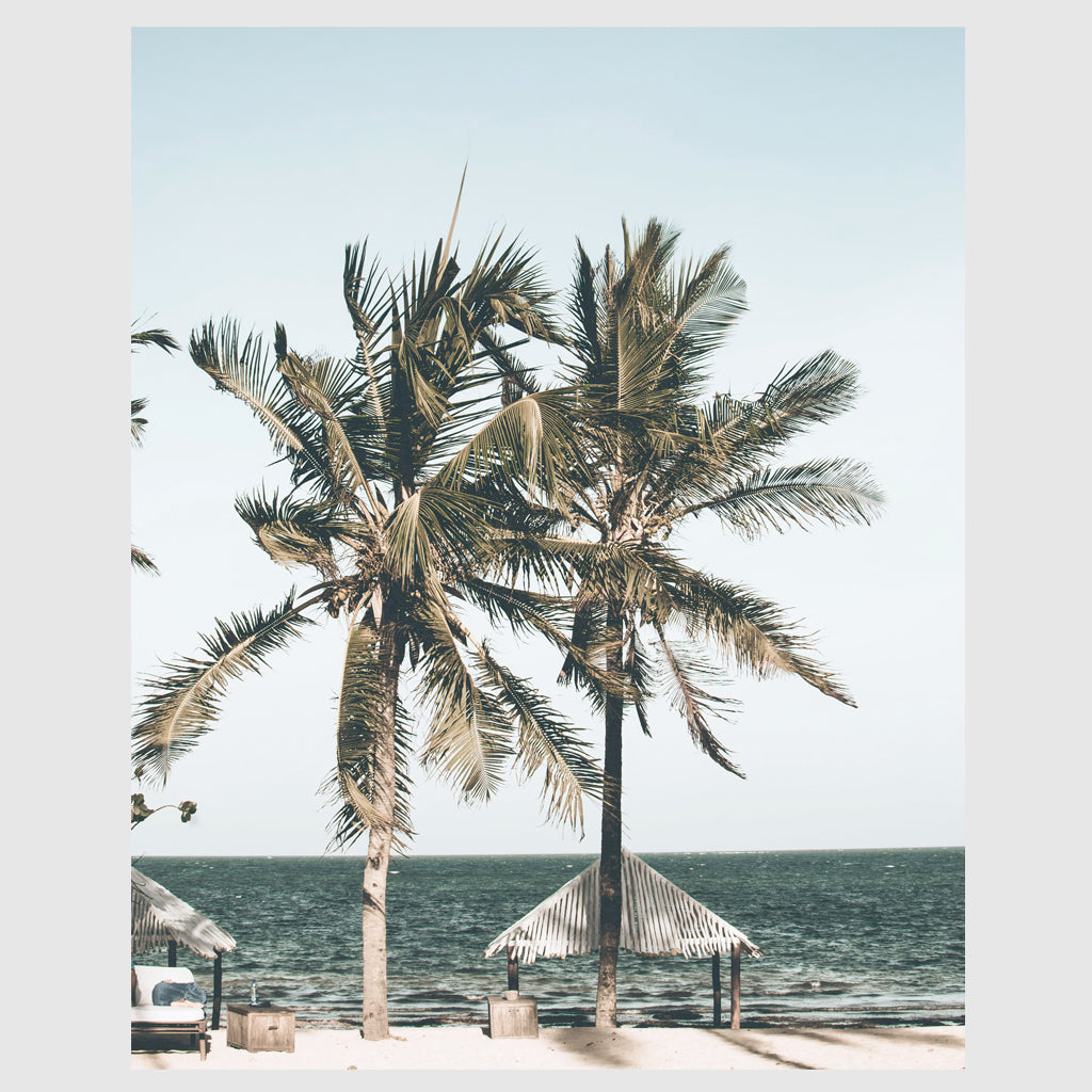 Photo prints -Two-palm-trees-near-canopy- Poster Prints -Canvas Prints