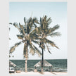 Photo prints -Two-palm-trees-near-canopy- Poster Prints -Canvas Prints