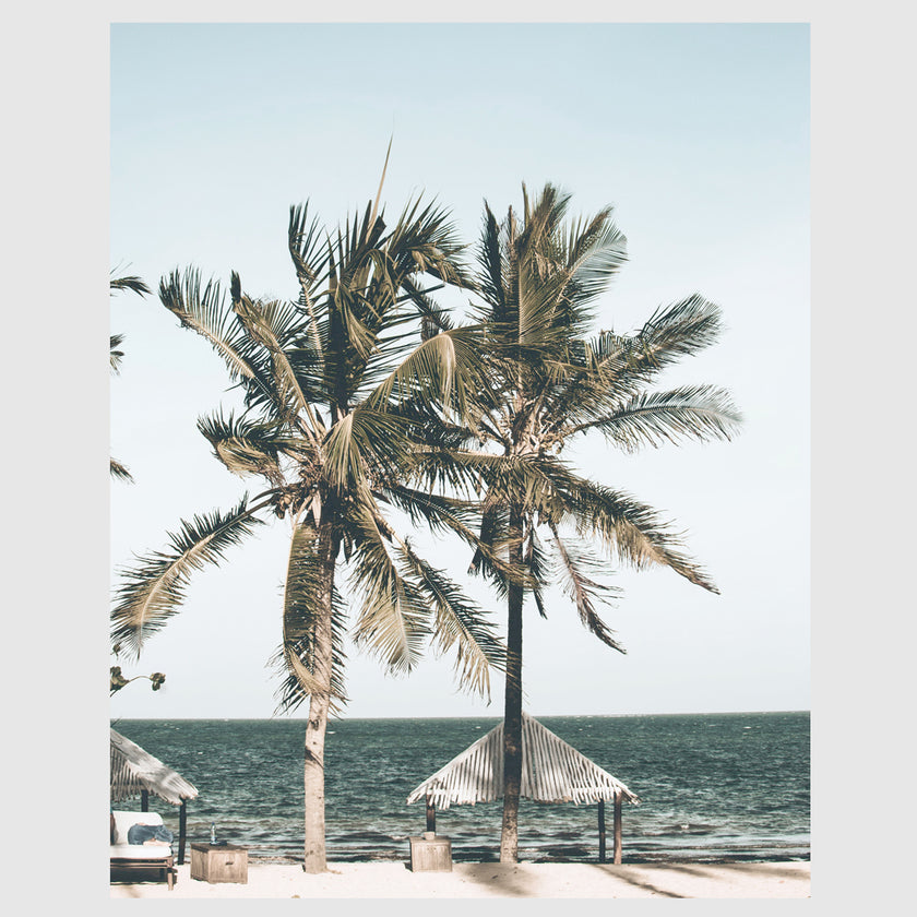 Photo prints -Two-palm-trees-near-canopy- Poster Prints -Canvas Prints