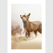 Wall Art - Walk to beach II 3 sets - Poster Prints -Canvas Prints