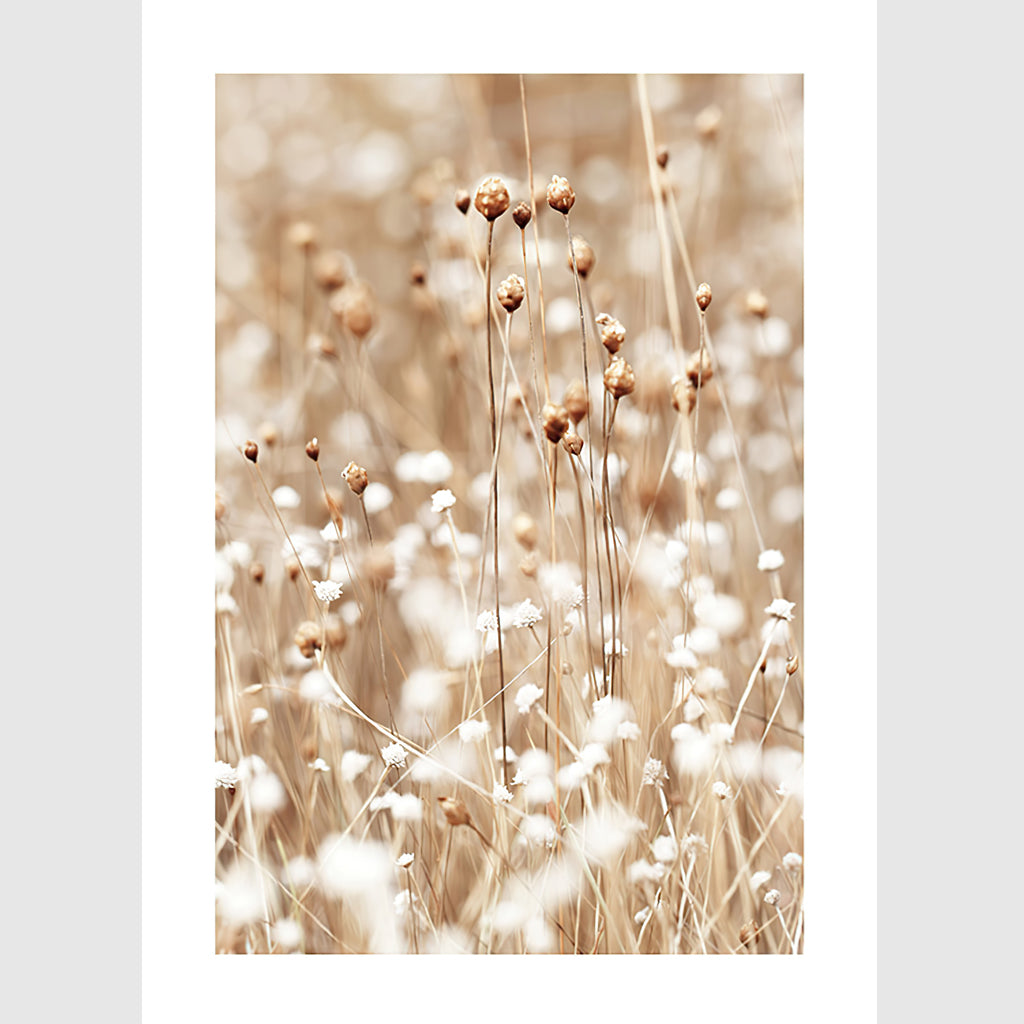 Wall Art - Walk to beach 3 sets - Poster Prints -Canvas Prints