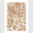 Wall Art - Walk to beach 3 sets - Poster Prints -Canvas Prints