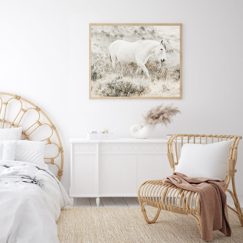 Wall Art - White Horse - Canvas Prints-Poster Prints