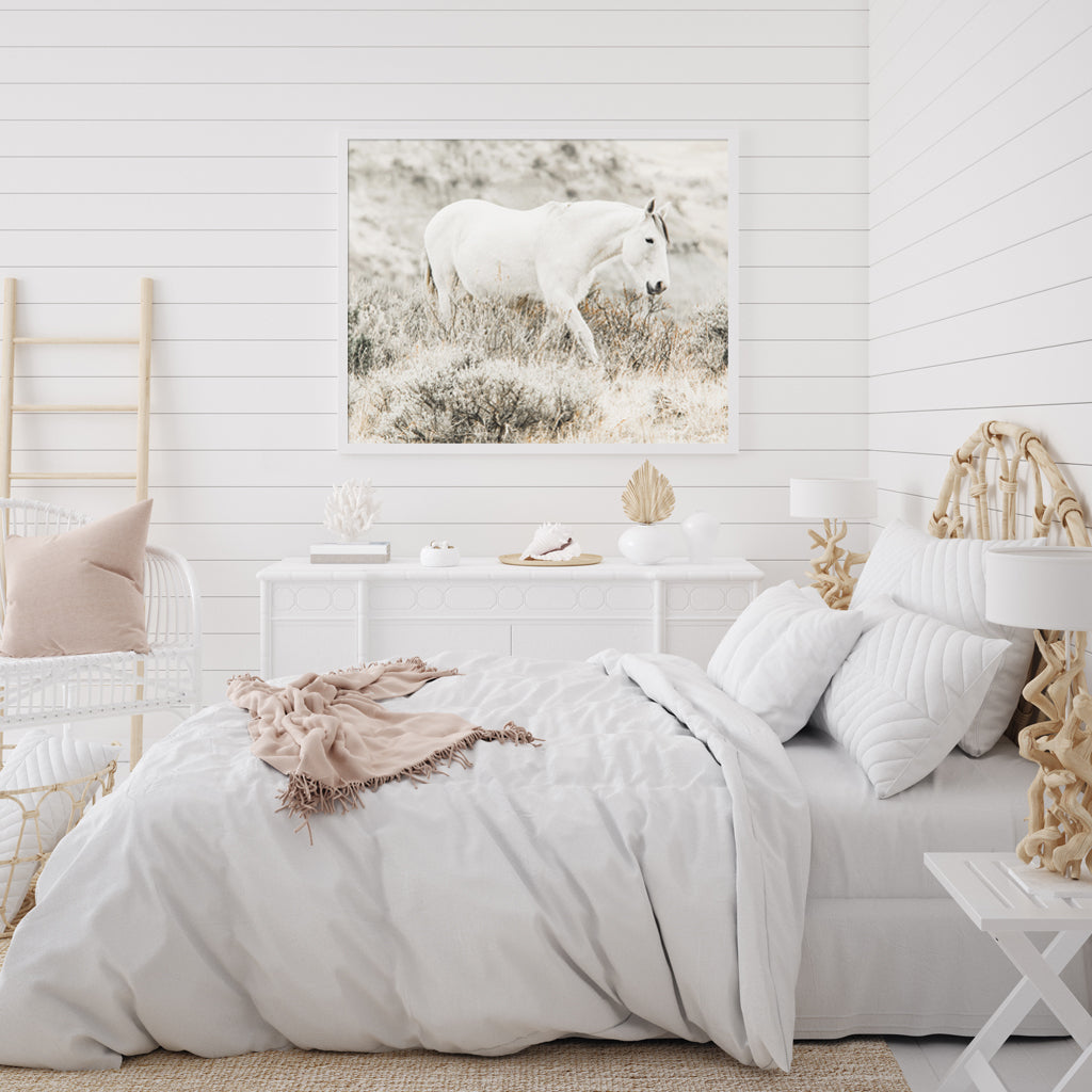 Wall Art - White Horse - Canvas Prints-Poster Prints