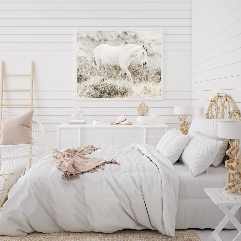 Wall Art - White Horse - Canvas Prints-Poster Prints
