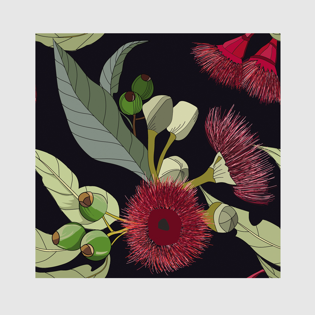 Botanicals Art – Print Wall Art – Australian native flower – Canvas
