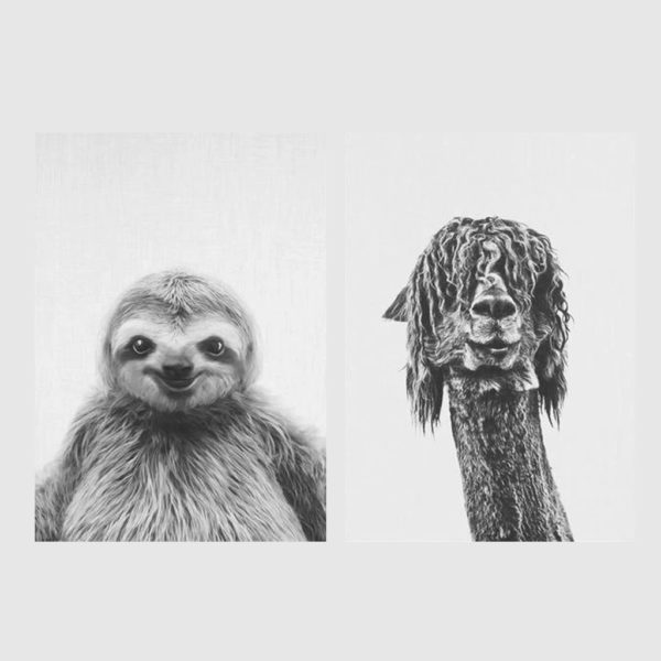 Wall Art - ALPACA AND SLOTH -(2 sets) -canvas prints - poster prints - Image 2
