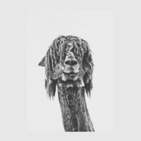 Wall Art - ALPACA AND SLOTH -(2 sets) -canvas prints - poster prints - Image 3