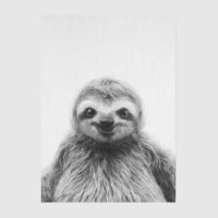 Wall Art - ALPACA AND SLOTH -(2 sets) -canvas prints - poster prints - Image 4
