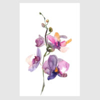 Flowers Prints - ORCHID HAND PAINTED WATER COLOUR STYLE- 2 sets-canvas prints - poster prints - Image 3
