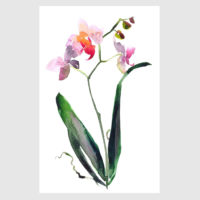 Flowers Prints - ORCHID HAND PAINTED WATER COLOUR STYLE- 2 sets-canvas prints - poster prints - Image 4