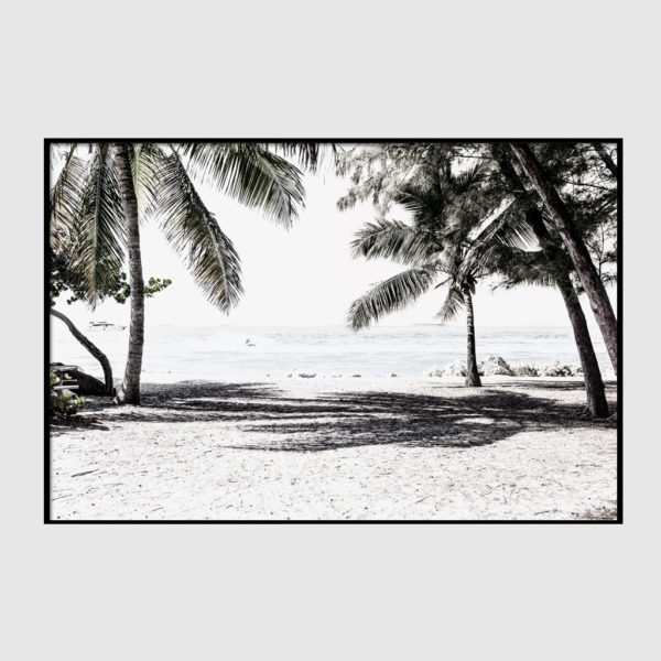Landscape art prints -Wategos beach photo (white series) - Poster Prints -Canvas Prints - Image 6