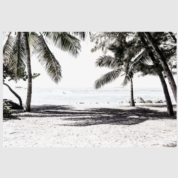 Landscape art prints -Wategos beach photo (white series) - Poster Prints -Canvas Prints - Image 3