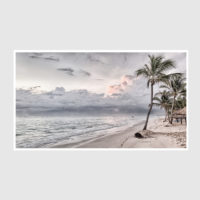 Landscape art prints -WATEGOS BEACH AND COCONUT TREES PHOTO ART PRINTS- Poster Prints -Canvas Prints - Image 4