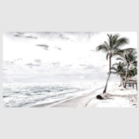 Landscape art prints -WATEGOS BEACH AND COCONUT TREES PHOTO ART PRINTS (white series)- Poster Prints -Canvas Prints - Image 3