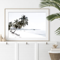 Landscape art prints -Coconut tree leaves and the beach(white series)- PHOTO ART PRINTS- Poster Prints -Canvas Prints