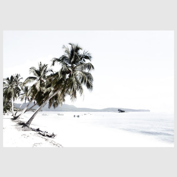Landscape art prints -Coconut tree leaves and the beach(white series)- PHOTO ART PRINTS- Poster Prints -Canvas Prints - Image 3
