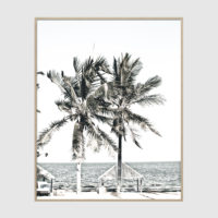 Photo prints -Two-palm-trees-near-canopy(white series)- Poster Prints -Canvas Prints - Image 4