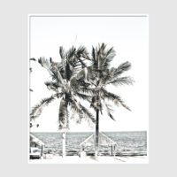 Photo prints -Two-palm-trees-near-canopy(white series)- Poster Prints -Canvas Prints - Image 3