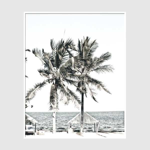 Photo prints -Two-palm-trees-near-canopy(white series)- Poster Prints -Canvas Prints - Image 3