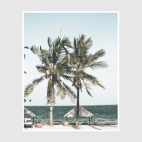 Photo prints -Two-palm-trees-near-canopy- Poster Prints -Canvas Prints - Image 4