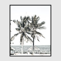 Photo prints -Two-palm-trees-near-canopy(white series)- Poster Prints -Canvas Prints - Image 6