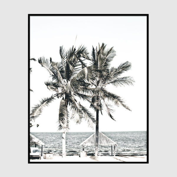 Photo prints -Two-palm-trees-near-canopy(white series)- Poster Prints -Canvas Prints - Image 6