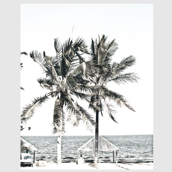 Photo prints -Two-palm-trees-near-canopy(white series)- Poster Prints -Canvas Prints - Image 5