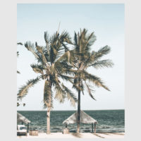 Photo prints -Two-palm-trees-near-canopy- Poster Prints -Canvas Prints - Image 3